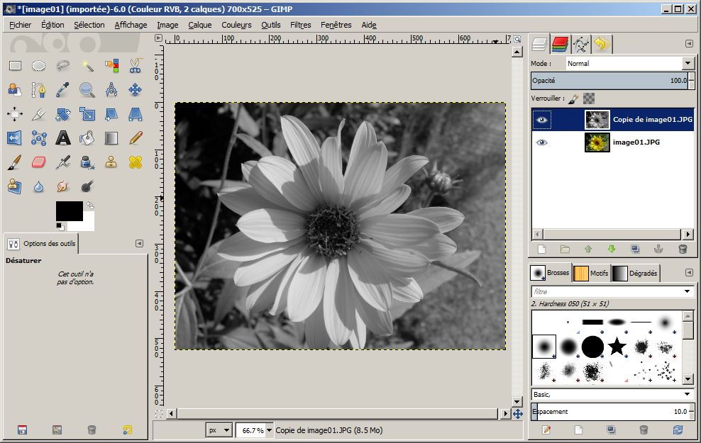 Dsaturation slective sur une image photo calque GIMP - webinfotuto.free.fr