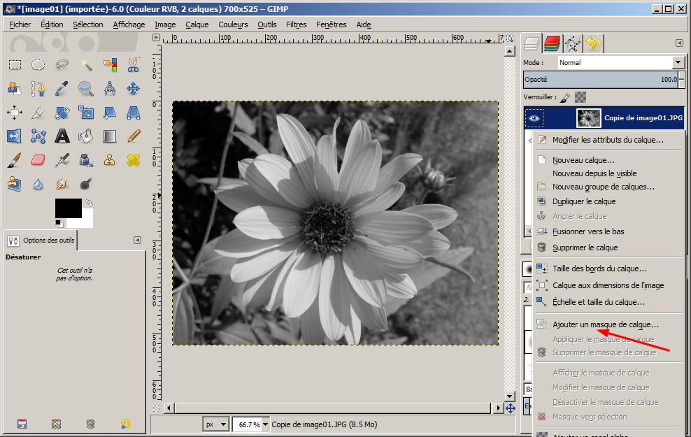 Dsaturation slective sur une image photo calque GIMP - webinfotuto.free.fr