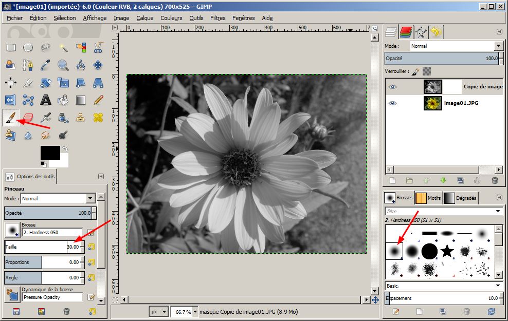Dsaturation slective sur une image photo calque GIMP - webinfotuto.free.fr
